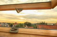 rated North Feorline roof window companies